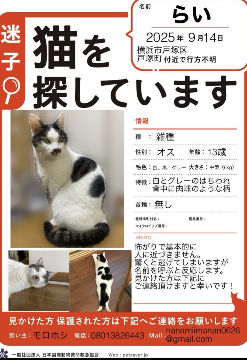 yama@猫飼っています　　修理、連絡ページ yama@猫飼っています 修理、連絡ページ yama@猫飼っています
