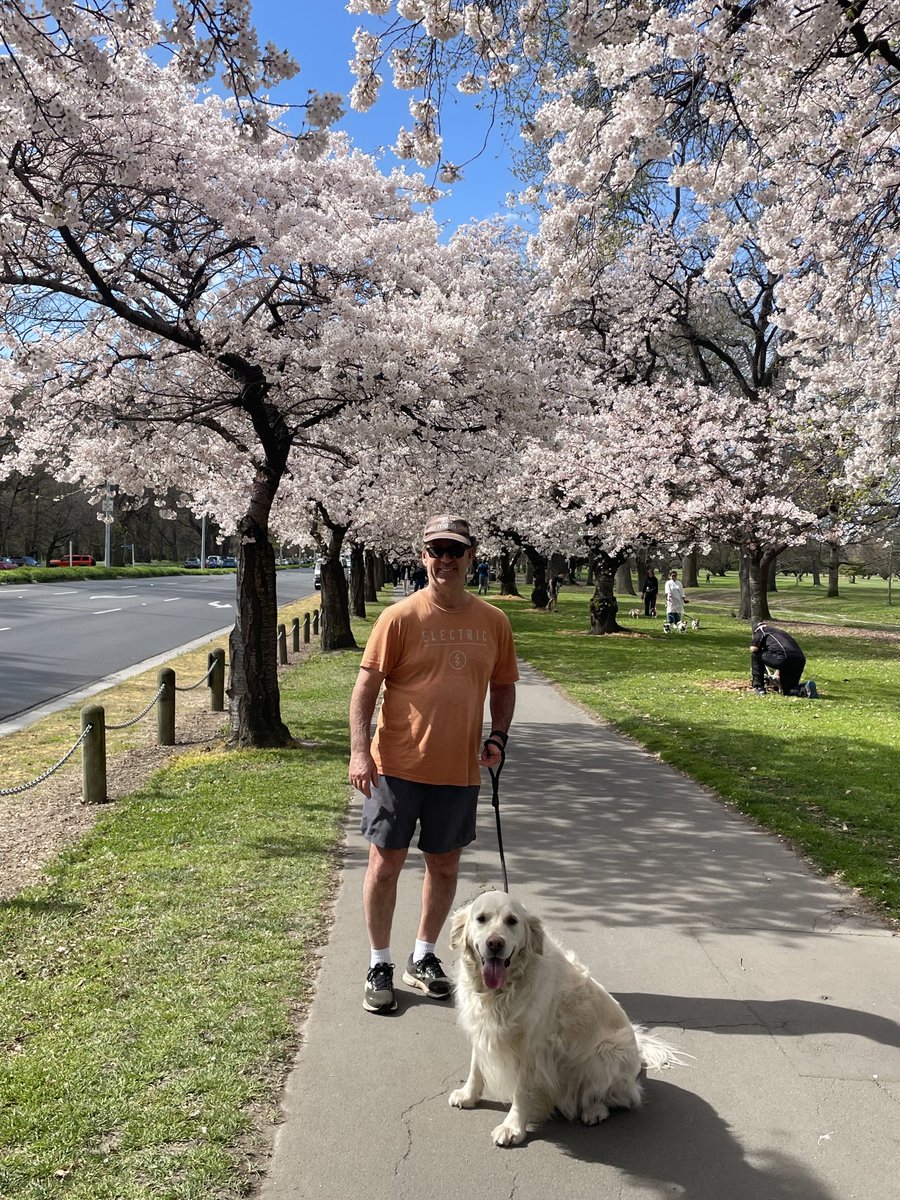 everwisefool's tweet image. Spring time in Christchurch. ❤️