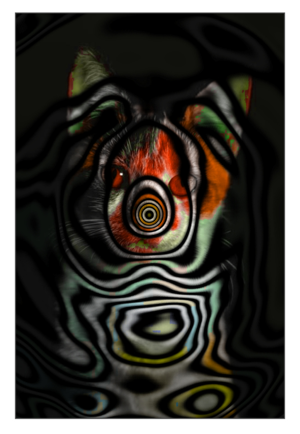 deconbatch's tweet image. 猫の肖像 🐱
#ImageProcessing #Processing #creativecoding