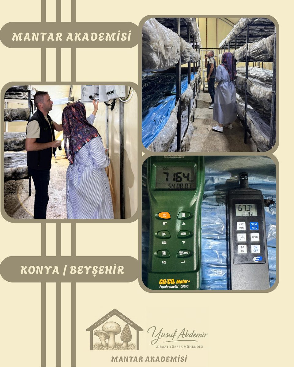 🍄Çalışmalarımız Devam Ediyor.🍄

📍#beyşehir

Kültür Mantarı

MAŞALLAH 👏👏👏

Tüm Üreticilerimize Hayırlı Helal Bol Kazançlar Dilerim.

#mantar #mushroom #tarımşehri #tarım #konya