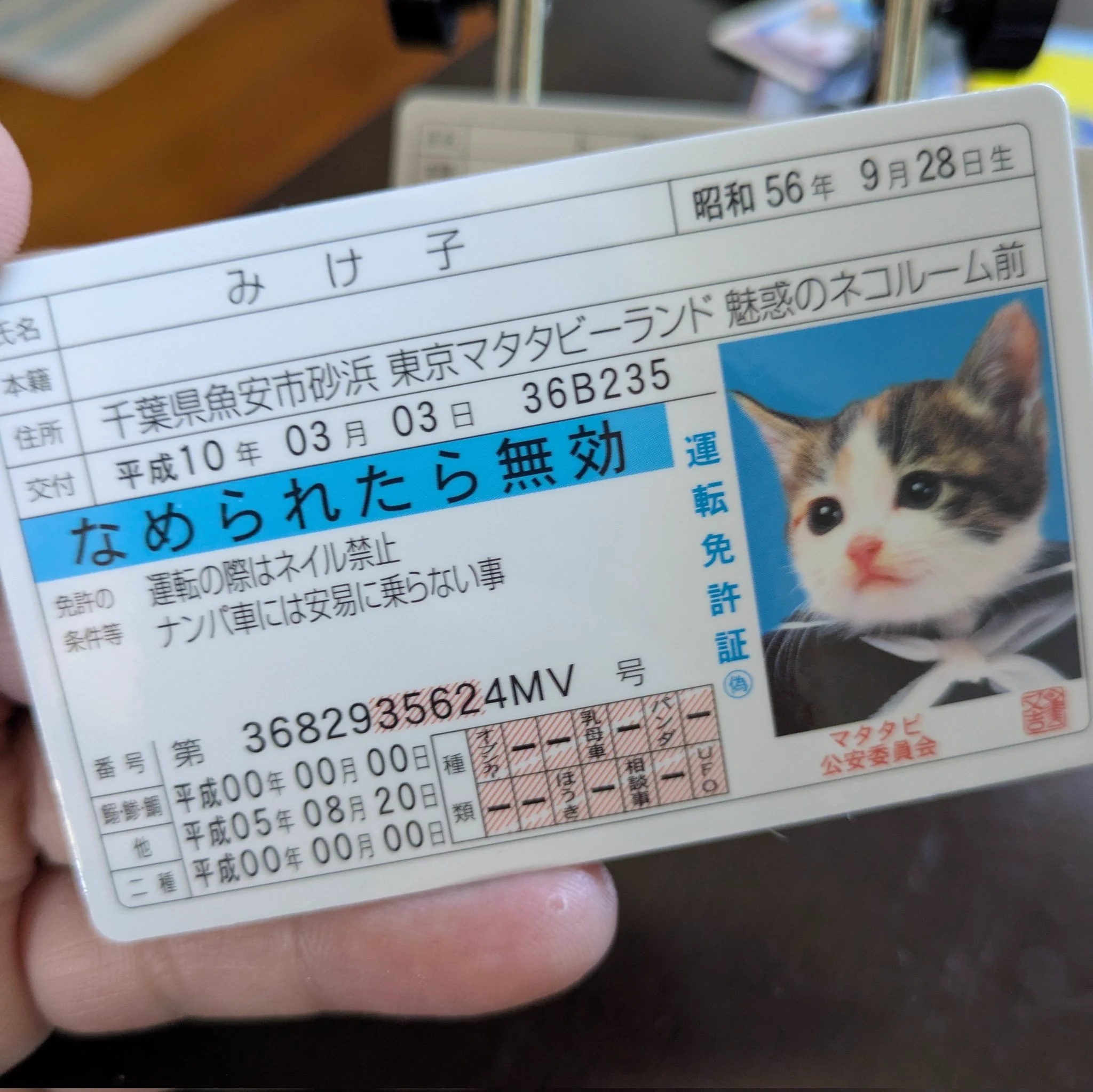 北山亭 メンソーレ on X: 