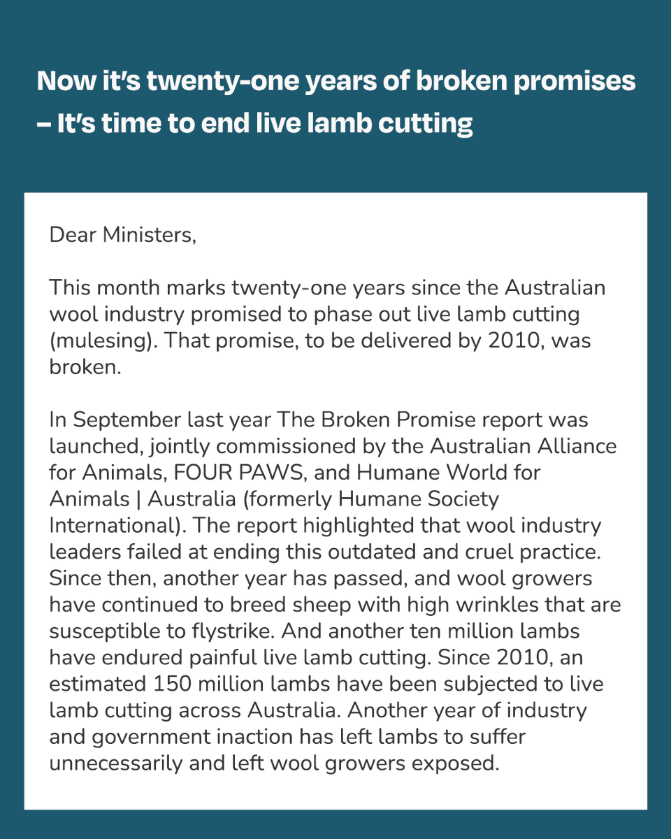 Australian Alliance for Animals tweet media