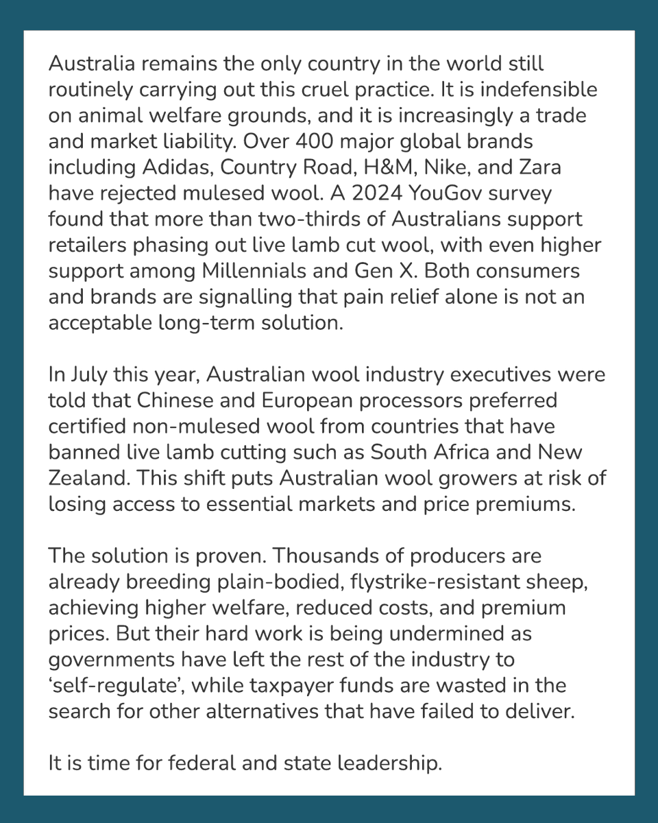 Australian Alliance for Animals tweet media