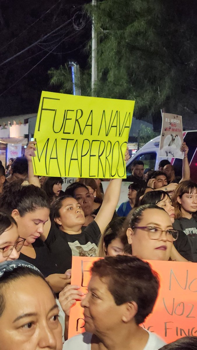 Que broncota se le vino encima a Jesús Nava de #SantaCatarina por maltratar a unos perros. Debería de pedir licencia en lo que se aclara el asunto