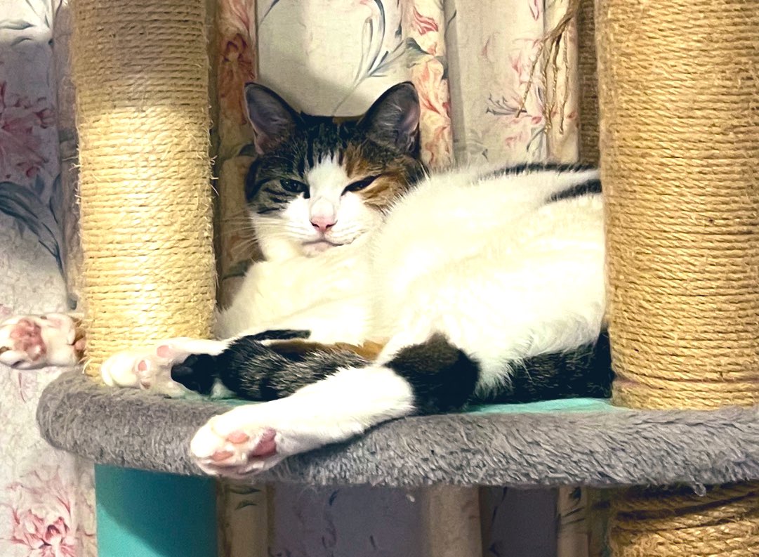 眠くなってきたの〜💤