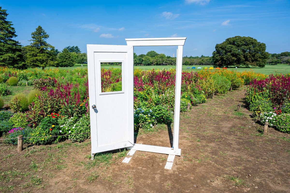 秋のブーケガーデン フォトスポット紹介 ① 線路…設置3年目の本物の