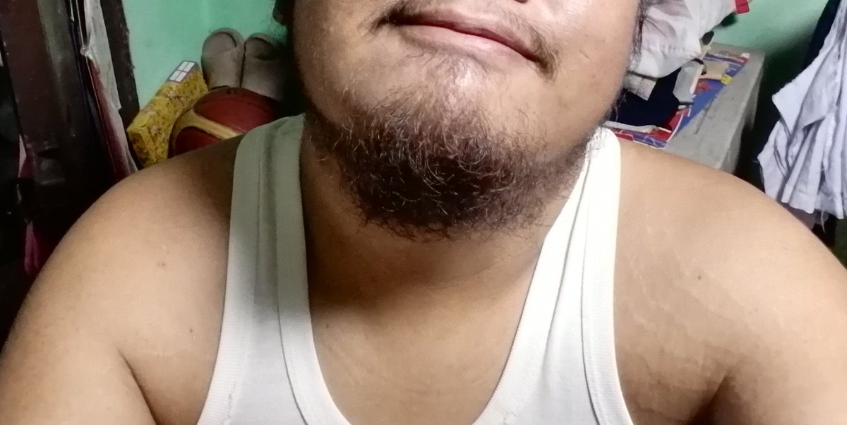 Bear 🐻🏳️‍🌈 tweet media