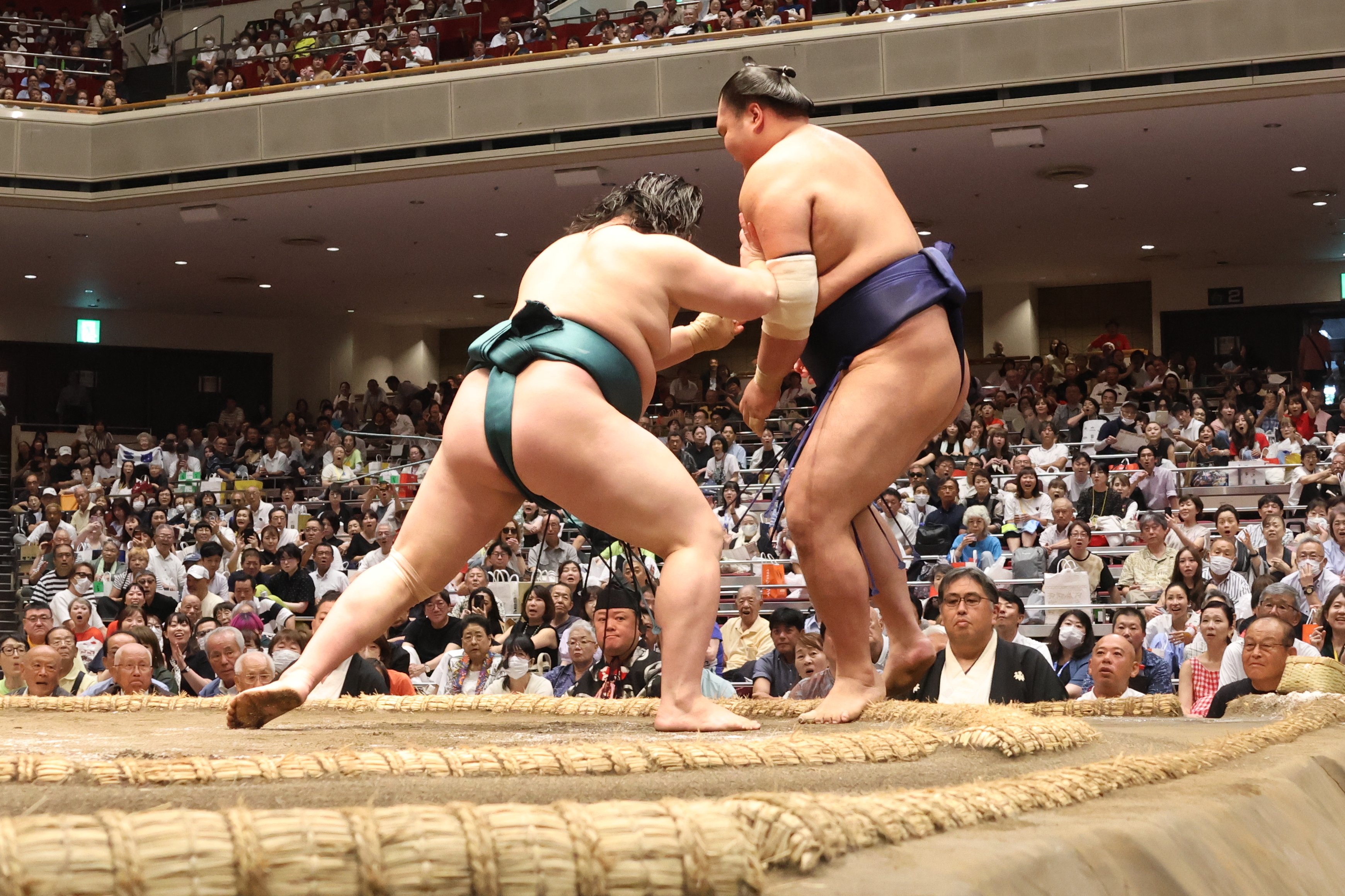 油絵　相撲　SUMO ヴィンテージ O!SUMO 〈ZINE〉 | SUMOTOMO