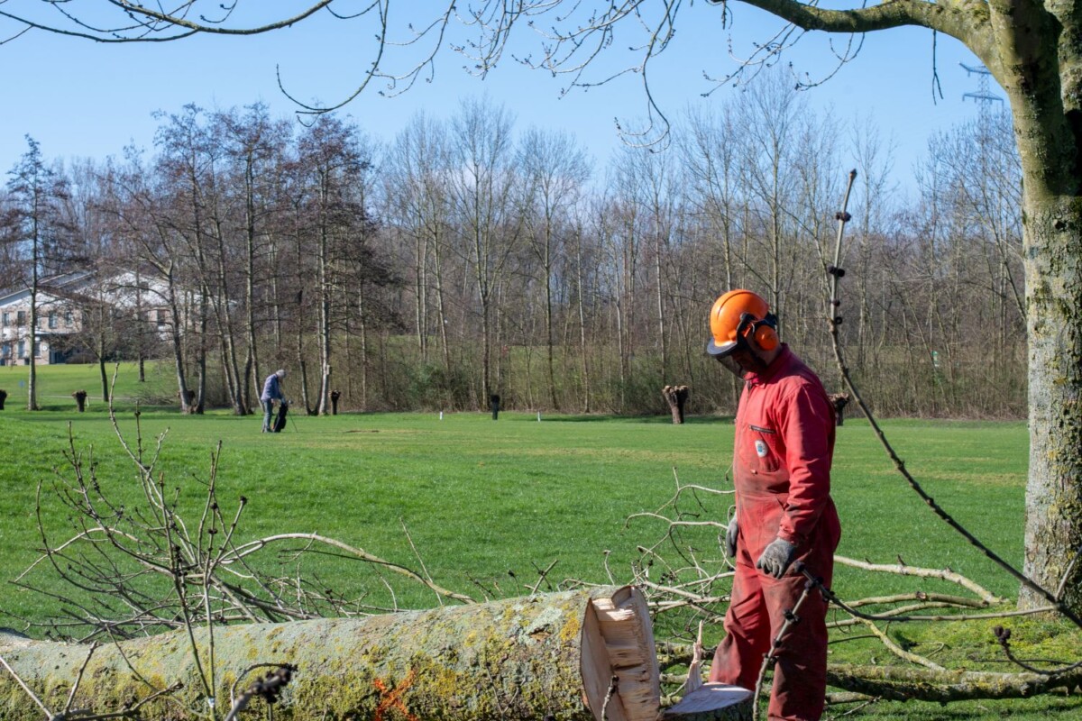 De uitnodiging van de NGA regio-west staat online op de site ngagolf.nl geef je snel op!