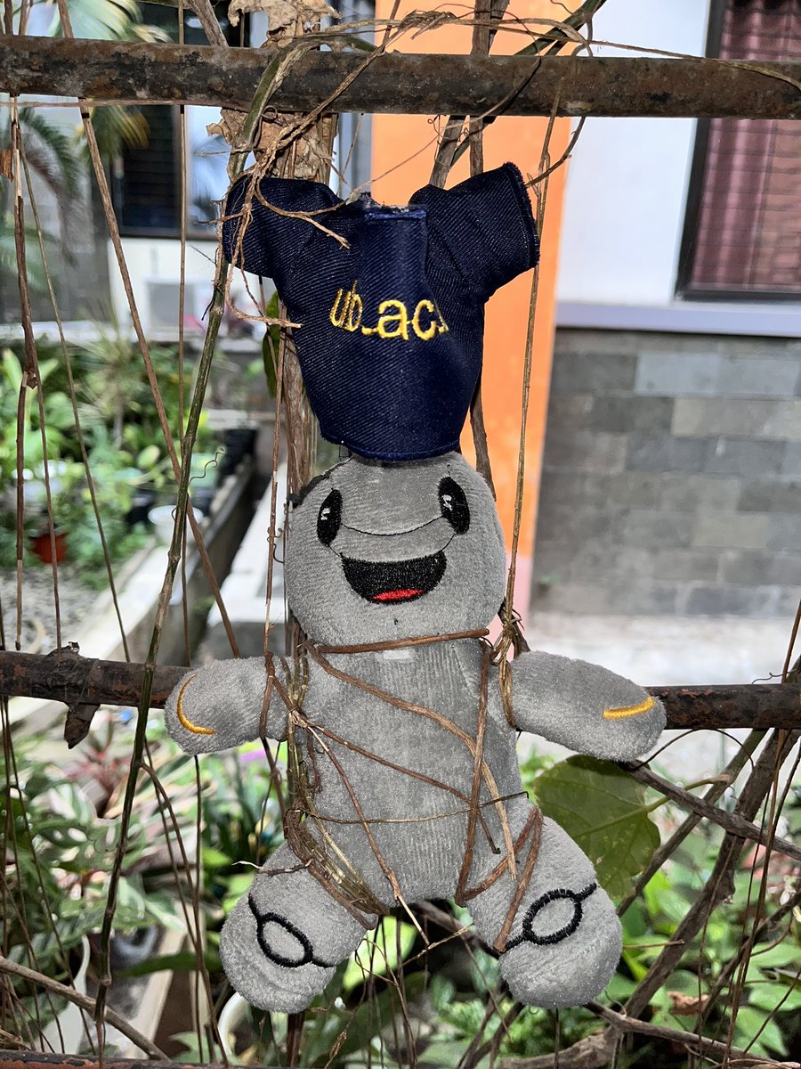 feeakbar_'s tweet image. we… love… ub…