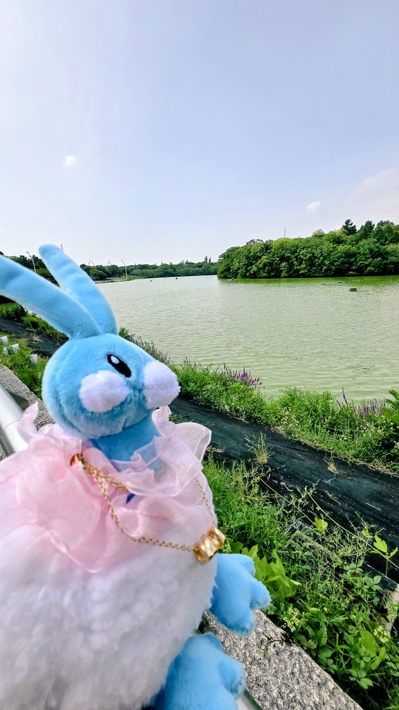 ディアンシーのお外デビュー🥳岩タイプやから石の上で撮影したけど可愛いなぁ😆✨

湖ではチルタリスちゃんと🥹✨この子は本当に外が似合う🥳

#ポケモンfit
#ポケモンfitのある暮らし
#ぬい撮り