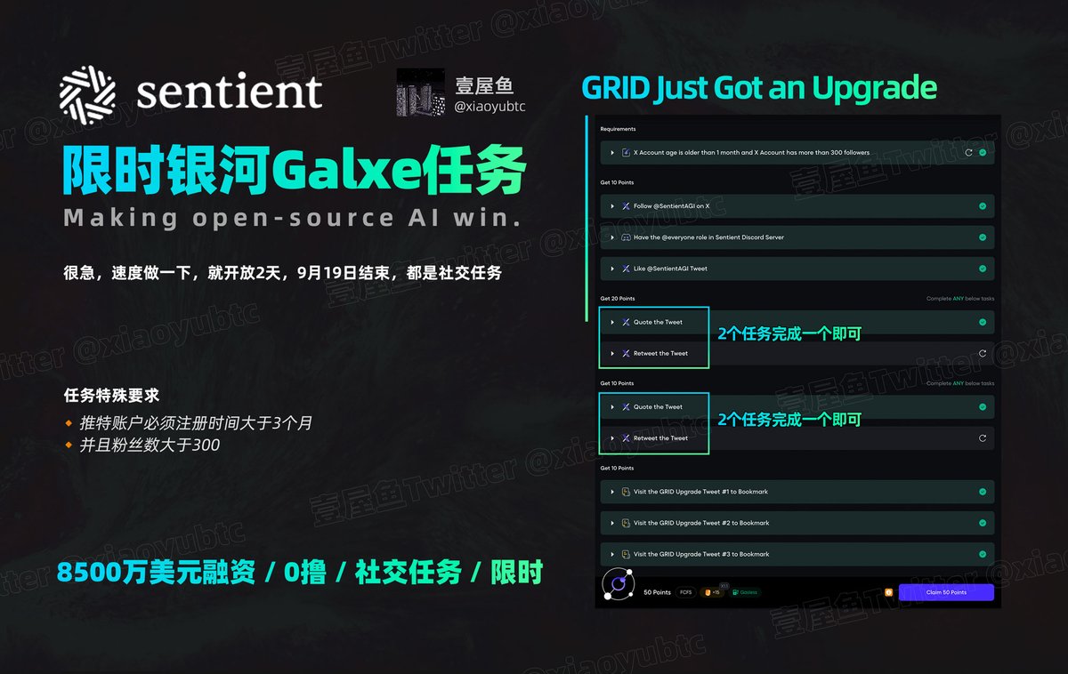 壹屋鱼 tweet media