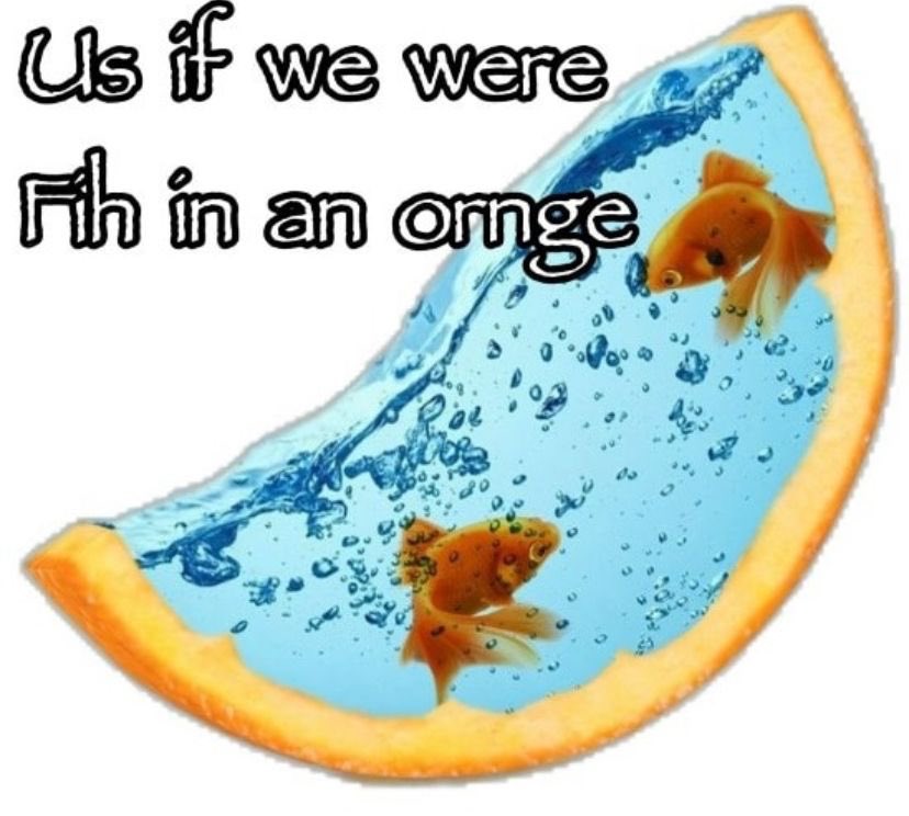 peppsqueak3's tweet image. Hiii i made a new main account if you recognize my style... Hi?? it is me... Had to make a new main because i was feeling extremely unsafe on the other one 🎁