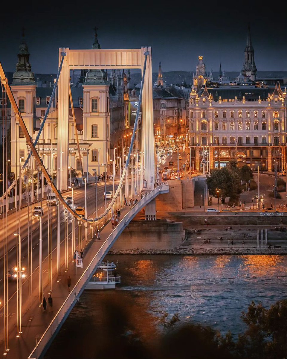 Elisabeth bridge, Budapest