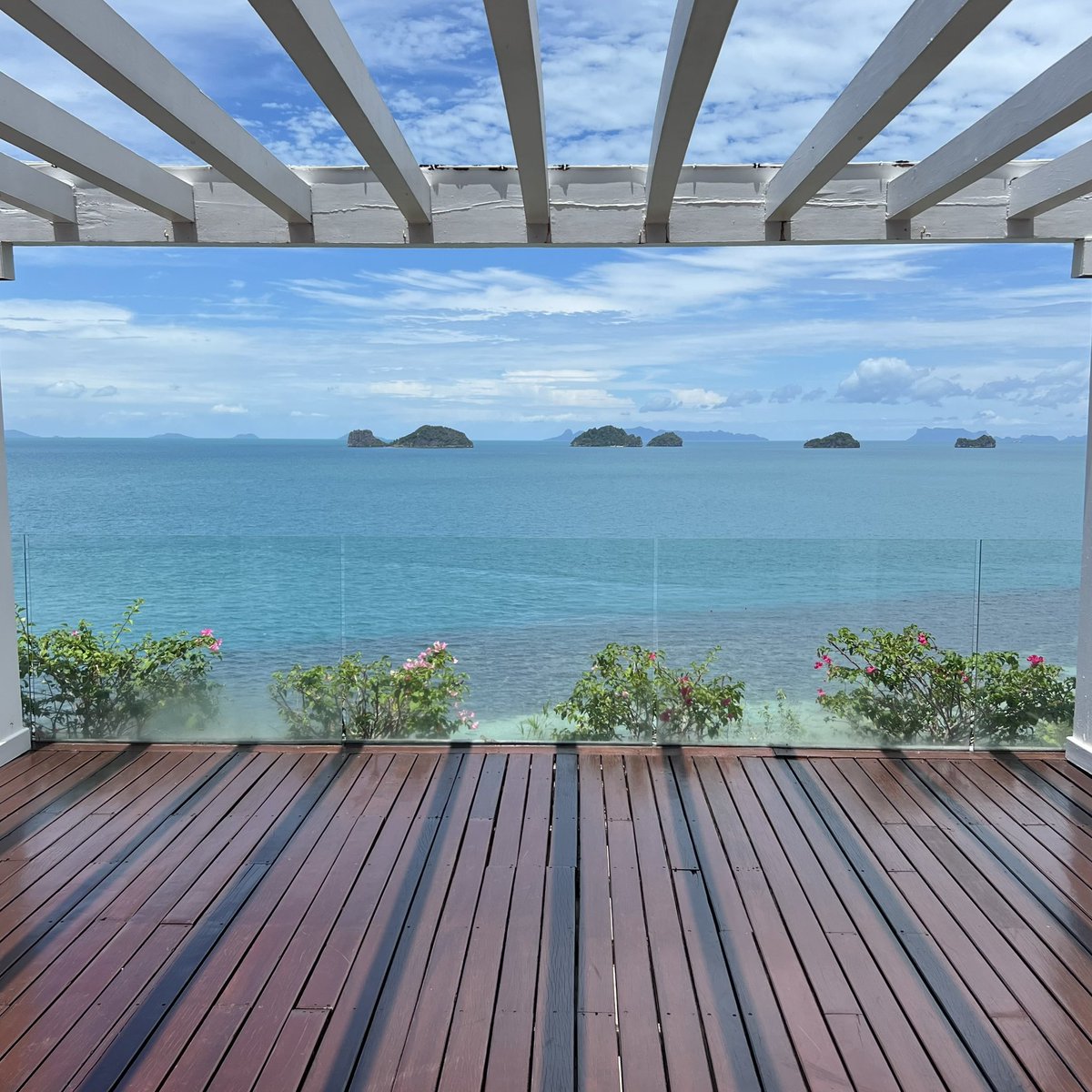 Shane Williams tweet media