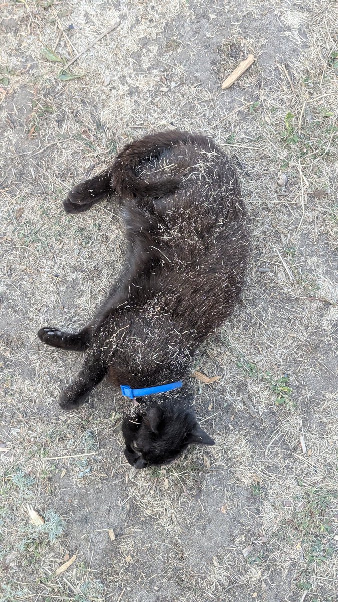 Увага, гарний чоловік валяється на дорозі