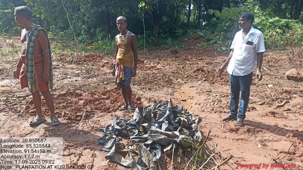 Cleaning of the sites post plantation to ensure greener and cleaner future ☘️🍃