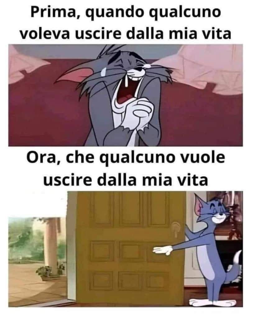 Marta Farasha (@martafarasha) on Twitter photo 