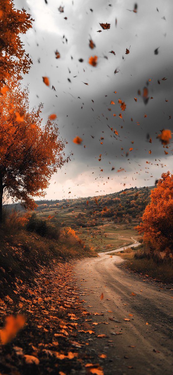 Emily Brontë – “Every leaf speaks bliss to me, fluttering from the autumn tree.”

#Autumn #Halloween2025