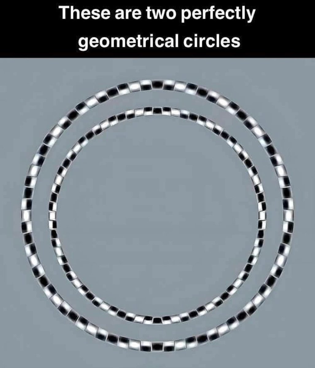 2 цагираг л гээд бган 🤷‍♂️