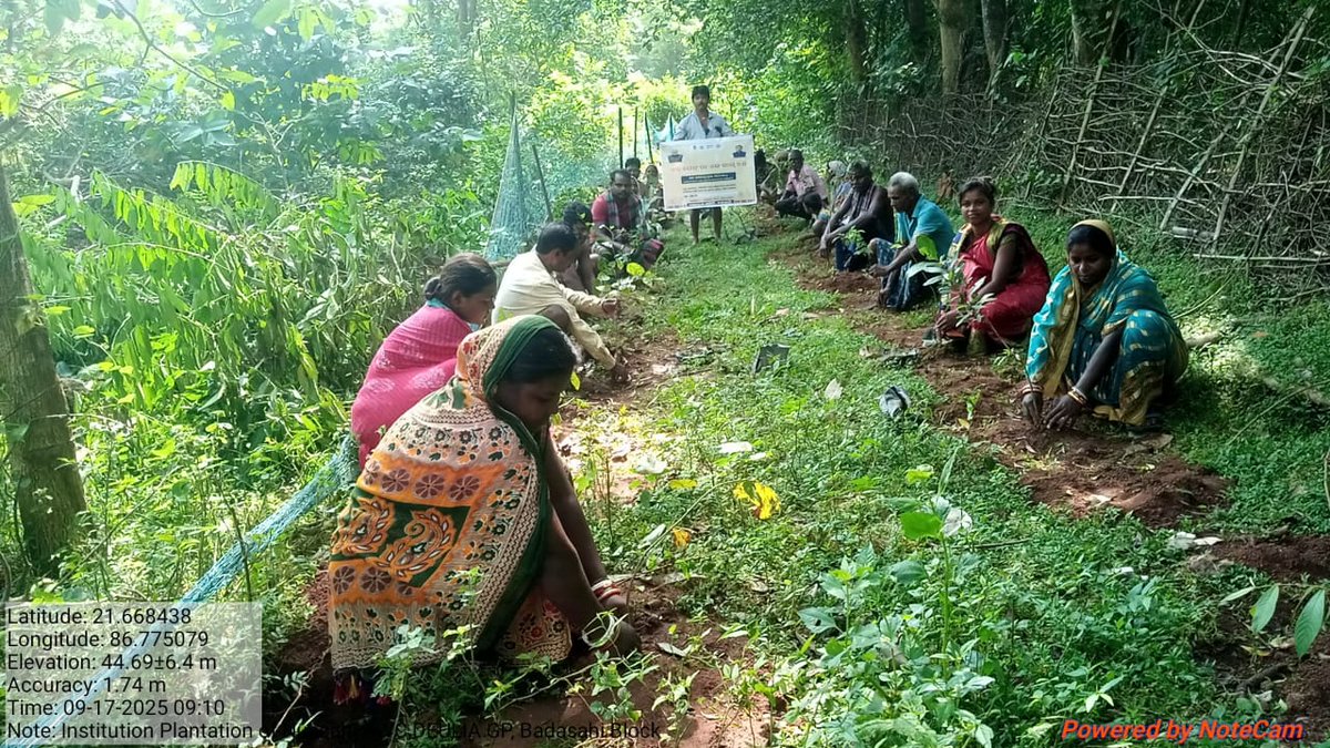 BBadasahi37362's tweet photo. EK PED MAA KE NAAM @DmMayur @CMO_Odisha @PMOIndia @odisha_tourism @PRDeptOdisha @FinMinIndia @rdmodisha @ForestDeptt https://t.co/A6Q8aMLGEj