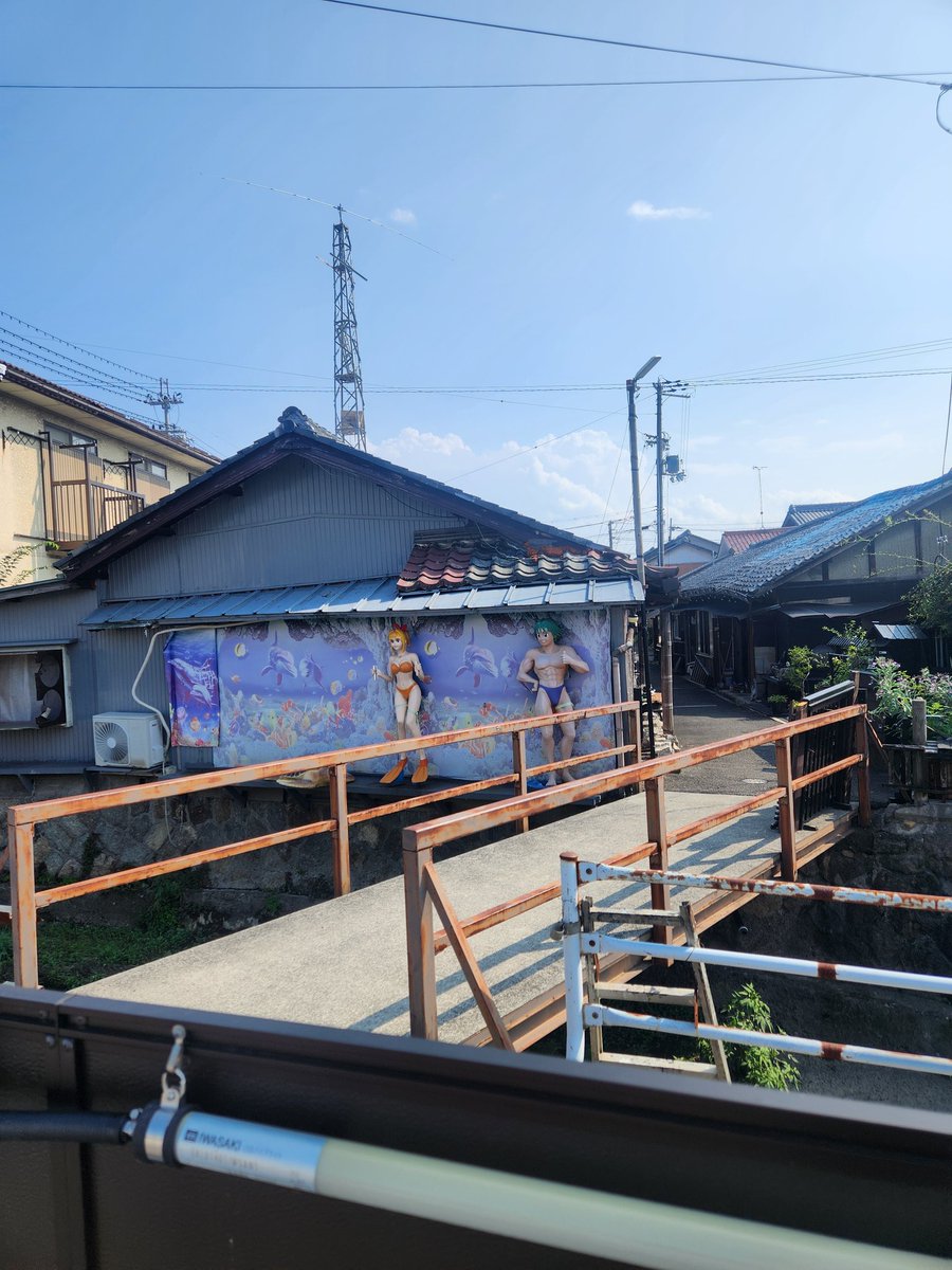 目に入ったので