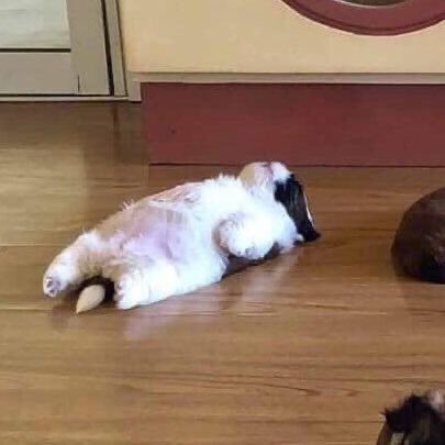 วันเสาร์นี้ shine อีพีสุดท้ายแล้ว
วันเสาร์นี้ shine อีพีสุดท้ายแล้ว
วันเสาร์นี้ shine อีพีสุดท้ายแล้ว
วันเสาร์นี้ shine อีพีสุดท้ายแล้ว
วันเสาร์นี้ shine อีพีสุดท้ายแล้ว

😭😭😭🫠🫠🫠🥲🥹🫠😭😭🫠🫠