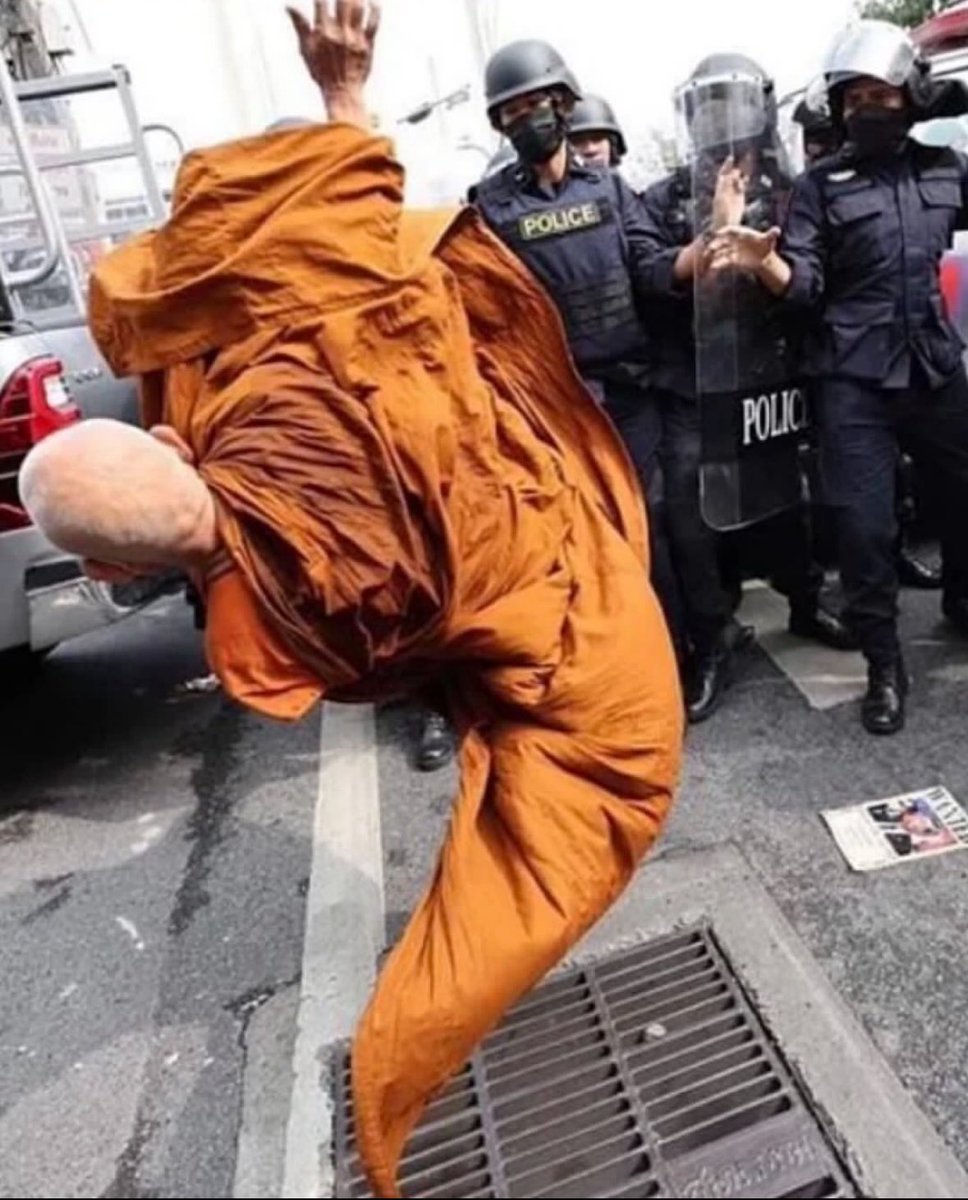 昨夜东风 tweet media