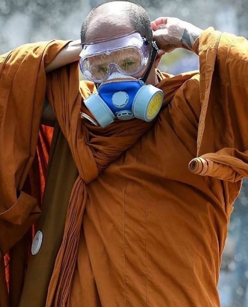 昨夜东风 tweet media