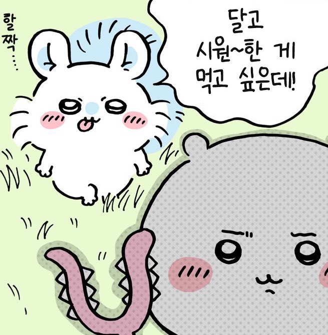 gumbanut's tweet photo. 치이카와가 유일하게 모몽가 볼때만 극혐 표정 짓는게 너무 웃김 ㅋㅋㅋㅋ 모몽가를 볼때만 나오는 표정 ㅋㅋㅋㅋㅋㅋㅋㅋ https://t.co/4DmjwNEiLg
