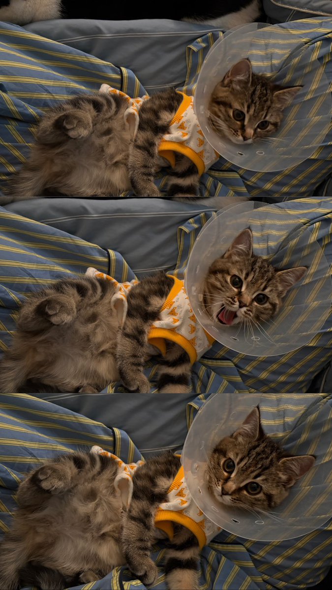 공주님 너무 이쁘자나ㅠㅠㅠㅠㅠ