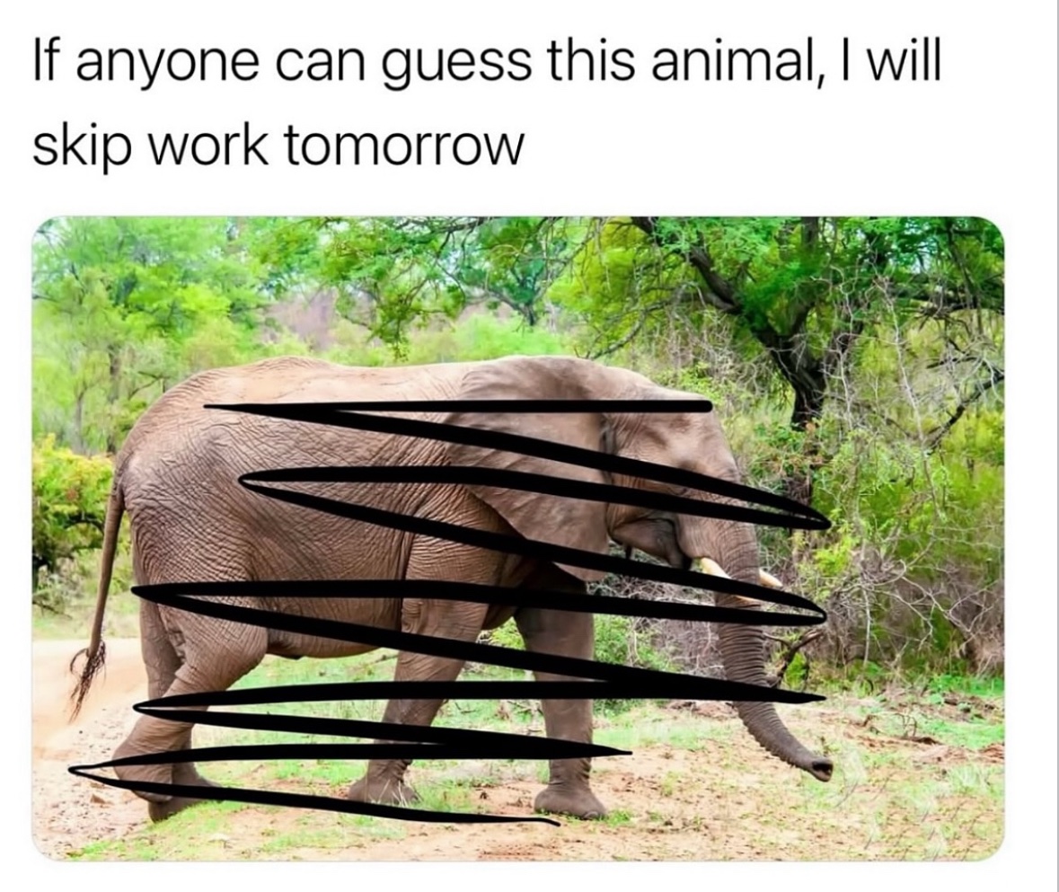 Respectful Memes (@respectfulmemes) on Twitter photo 