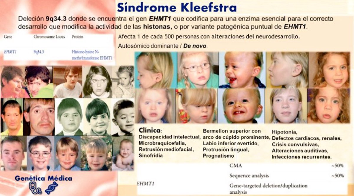 RarasNoInvisibles tweet media