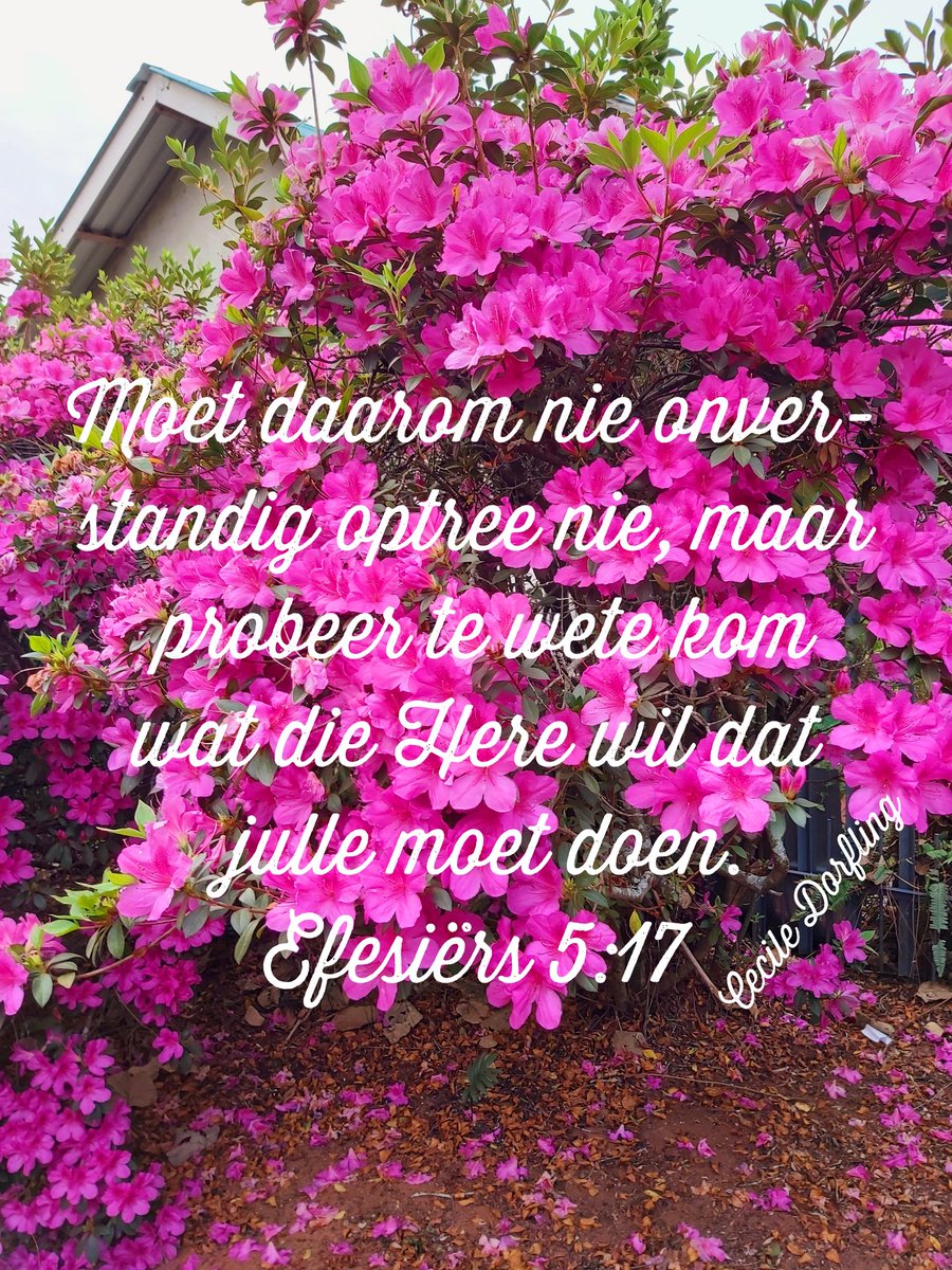 Cecile Vermaak Dorfling (@ceciledorfling) on Twitter photo 