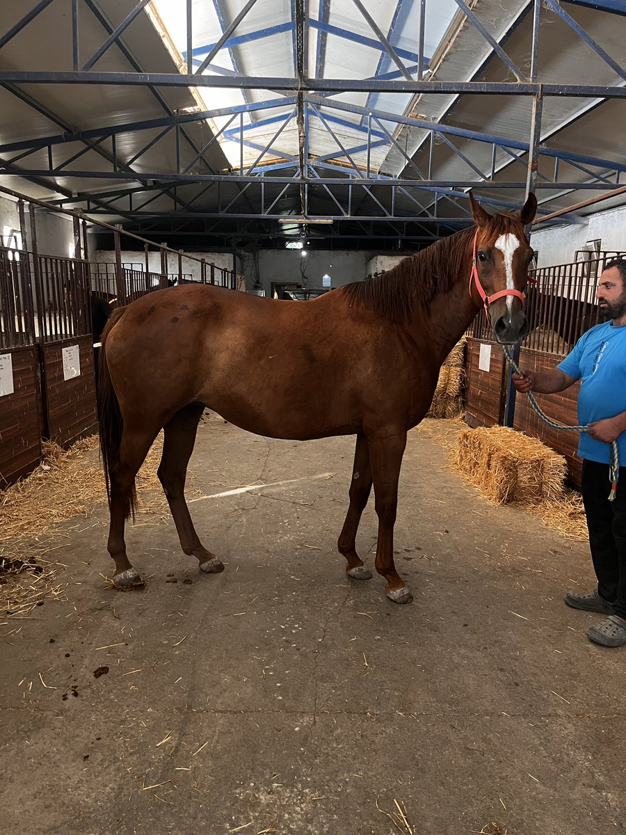 ADABÜKÜ 10Y
KING ALEX &amp; FUSS ( VALLIANT NATURE )

15 MART RHYTHM DIVINE GEBESİ

150.000

İLETİŞİM FIRAT ARTIŞ
05321623109