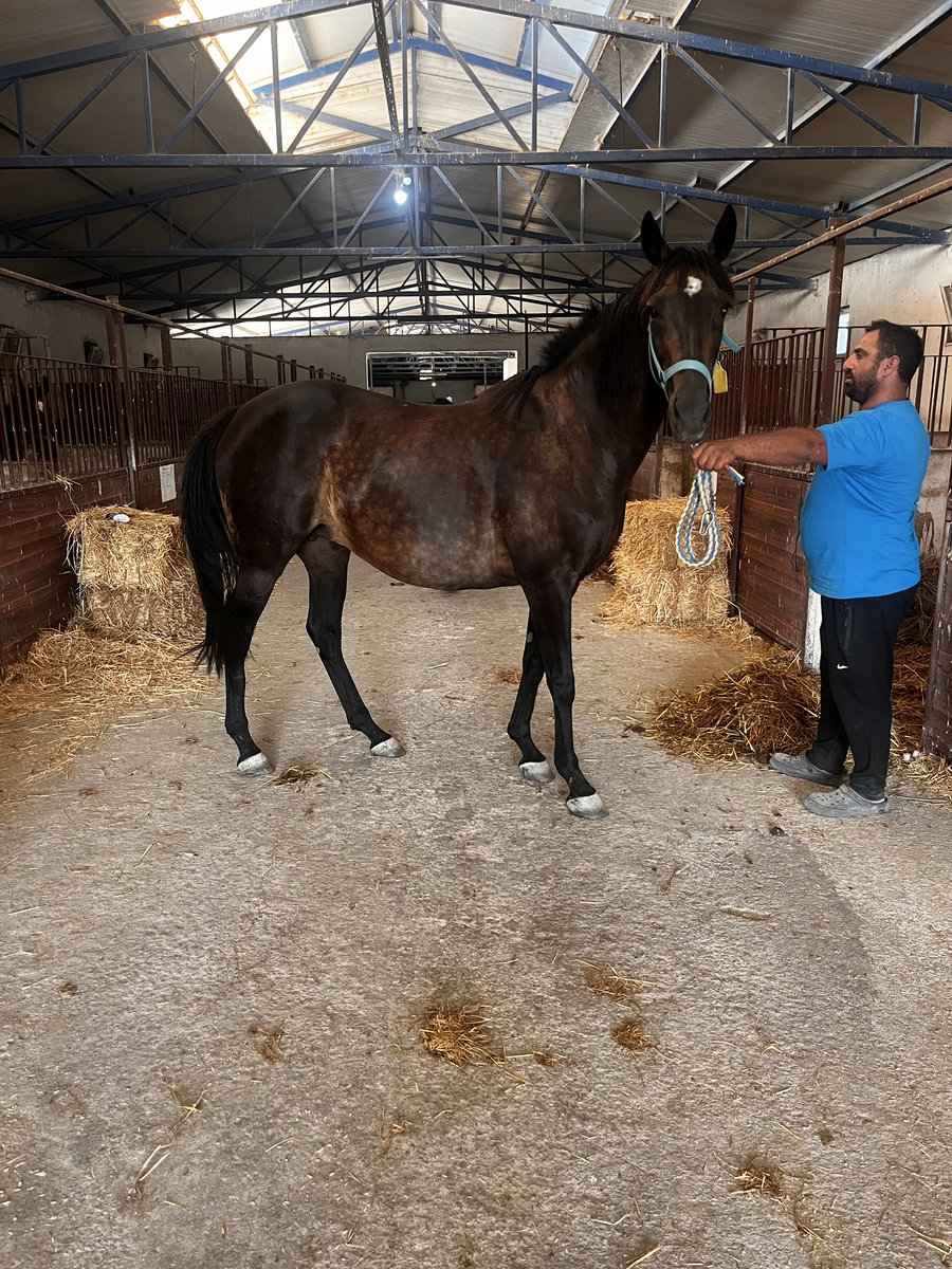 BLAZING SPEED 12 Y

BIN AJWAAD &amp; HAYIRLISI ( MY VOLGA BOATMAN)

18 NİSAN BATHRAT LEON GEBESİ

İLETİŞİM FIRAT ARTIŞ
05321623109