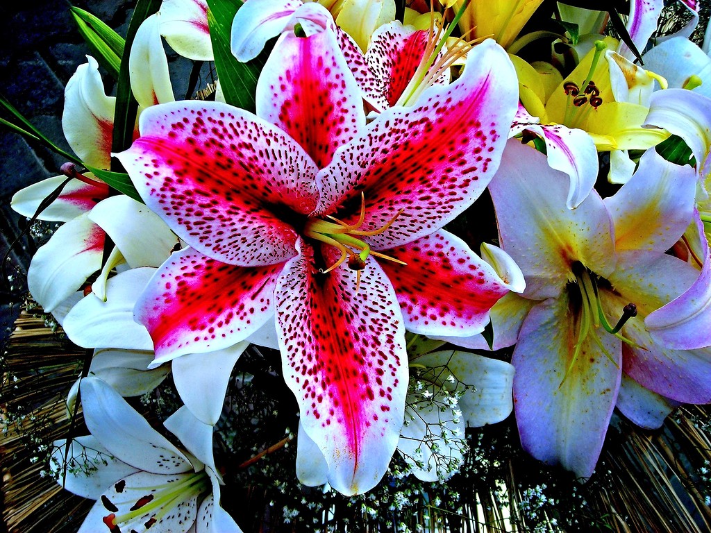 <a href="/Dana__Levina/">💞 Дана Левина 💞</a> <a href="/_NikaSmirnova/">Ника Смирнова 🦋</a> <a href="/_PolinaSavina/">Полина Савина 🧢</a> <a href="/_TatyanaGolub/">Татьяна Голубева 🔥«</a> <a href="/Evelina__Lapina/">Эвелина Лапина</a> <a href="/Mishel_Lebedeva/">Мишель Лебедева</a> <a href="/BogSuvorova/">Богдана Суворова</a> <a href="/Karina__Zimina/">Карина Зимина 🦋</a> <a href="/Mari__Samsonova/">Мария Самсонова 💕</a> <a href="/Dominik_Svetova/">Доминика Светова</a> <a href="/Yuliya_Verina/">Юлия Верина 🍁</a> <a href="/_Anna_Gordeeva/">Анна Гордеева</a> <a href="/Frolova__Nastya/">Анастасия Фролова ✨</a> <a href="/Val_Valereva/">Валентина Валерьева</a> <a href="/Evgen_Safina/">Евгения Сафина</a> <a href="/Alina__Azarova/">Алина Азарова 🔥</a> <a href="/Liza_Vesnina/">Лизавета Веснина</a> <a href="/Sveta_Makeina/">Светлана Макеина</a> <a href="/Kseniya_Aksen/">Ксения Аксенова</a> <a href="/Roza_Rakitina/">Роза Ракитина</a> <a href="/IrishaKoroleva/">Ирина Королева</a> <a href="/_VladaBelova/">Влада Белова</a> <a href="/ya__chara/">Яна</a> <a href="/alberiniks/">Нина Альбертова</a> <a href="/lady__travel/">Нинэлька</a> <a href="/Ansupers/">Анастасия</a> <a href="/Alisa550055/">Алиса</a> <a href="/glamour__fifa/">Нэнси</a> <a href="/santairis_/">Ириска</a> <a href="/polovinkamoya/">Валентина</a> <a href="/niguzan/">Нина</a> <a href="/moyi_angel/">Ангелина</a> <a href="/ledi__briz/">Алина Голубкова</a> <a href="/Irina__Grad/">Ирина Градова</a> <a href="/shelkalina/">Galina Shelest</a> <a href="/leopoldolarag/">Leopoldo Lara</a> <a href="/P_barbaricina/">Patricia ♦️®🇮🇹</a> <a href="/VictoriAGVelan1/">Victoria Guerrero Velandia</a> <a href="/alpost19718/">Istina</a> <a href="/Anatolii70/">.Анатолий70</a> <a href="/Igor55549244/">Igor</a> <a href="/Vladimi94915948/">Vladimir</a> <a href="/math_007tutor/">Цифровой репетитор по математике физике английский</a> <a href="/olv42/">Анна Ильиных</a> <a href="/iO0WDvcSpnyOba5/">Люба</a> <a href="/kathyan72/">Hannah</a> <a href="/saulastam/">Sastam_25</a> <a href="/komaritski/">Slinkin SV</a> <a href="/ViktorMochalin/">mochalin viktor</a> <a href="/MalikaAkram14/">Malika Akram</a>