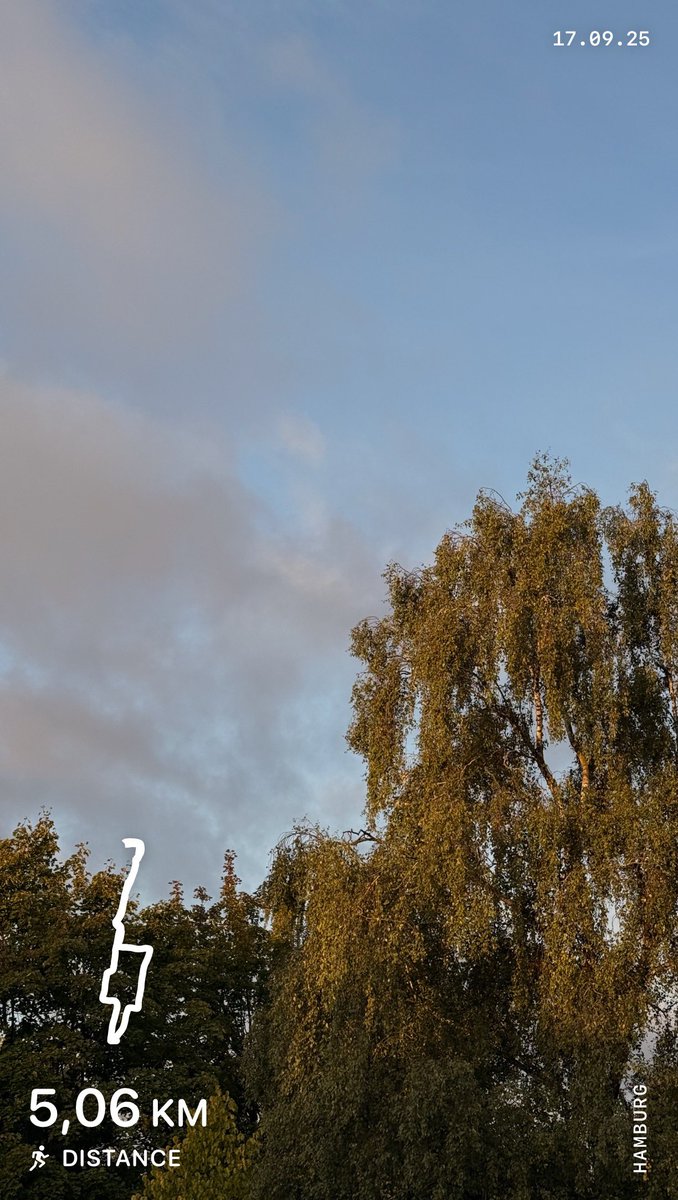 Deutlich zu wenig Schlaf und trotzdem durchziehen-Lauf 🏃‍♂️ 
#sport #run #lauf #heldenchaos