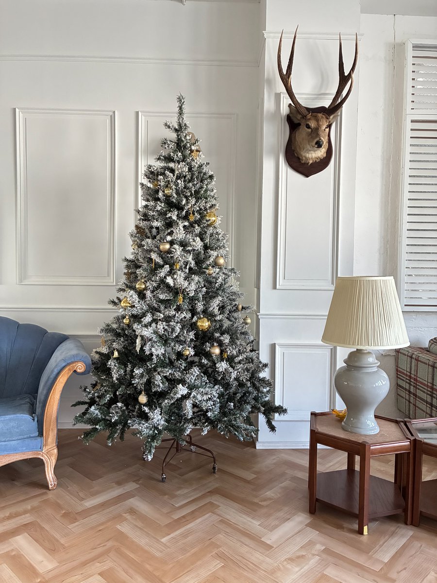 スタジオbeigeのクリスマスツリー、今年はステラ3F&amp;4F、そしてbeigeに輝く登場！ 高さ210cmのエレガントなツリーが、スタジオを華やかなクリスマスムードで彩ります。 洗練された空間で、特別な一枚を。ぜひスタジオbeigeで、X映えする魔法の瞬間を捉えて！ #スタジオbeige #クリスマスツリー