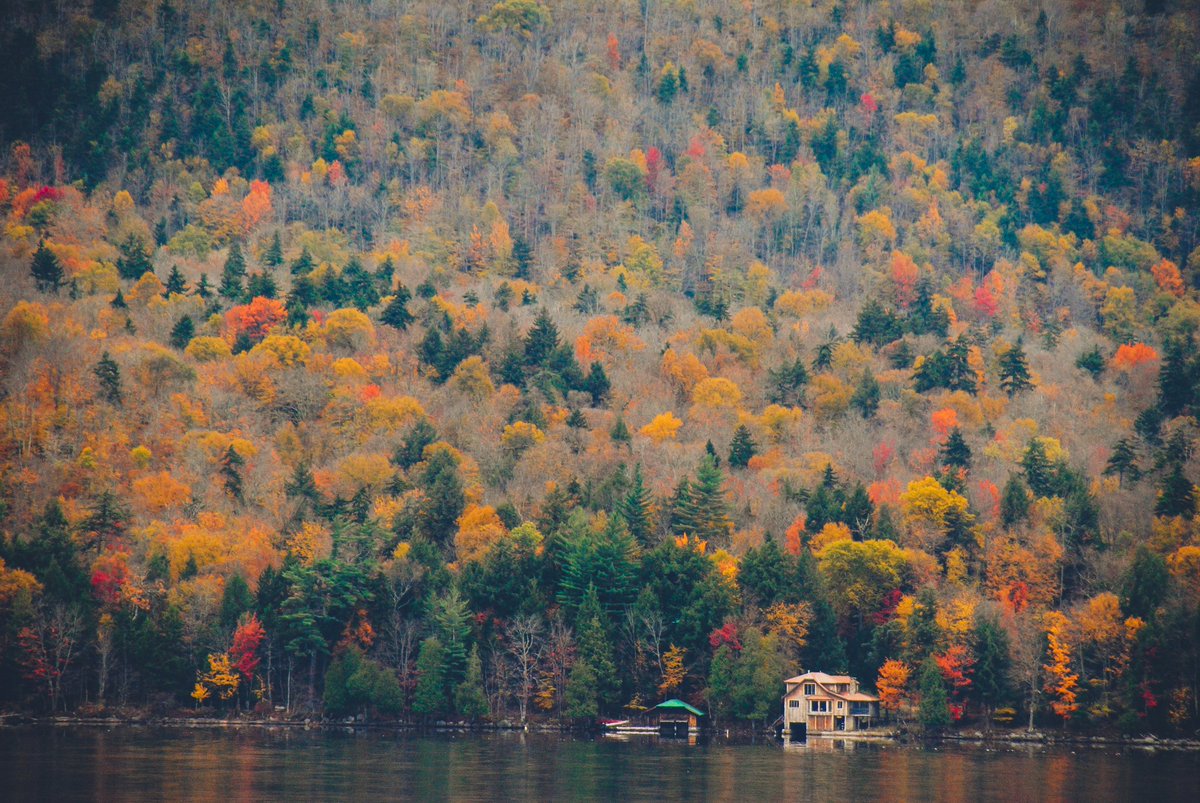 Top_World_Rank's tweet photo. From Central Park to Vermont, experience the best of New York and East Coast fall 🍁. Full seasonal guide here 👉 https://t.co/7GaepKOE2j
#NewYorkAutumn #FallDestinations 🍂 https://t.co/7tNYzg8WsU