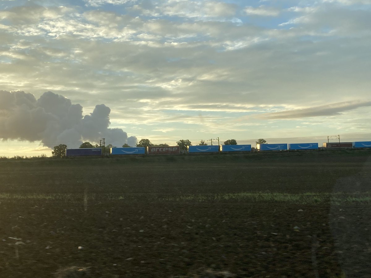 Ginger ☨ 🇱🇻 🦊 tweet media