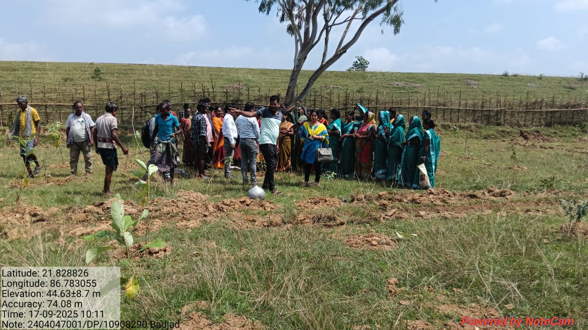 BDO_BARIPADA tweet media