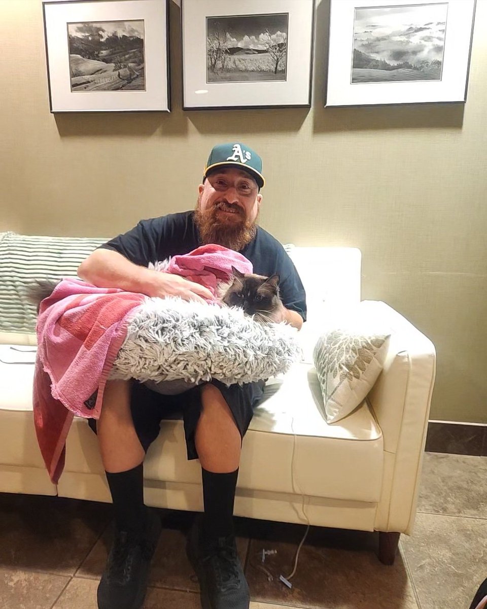 Will MacNeil tweet media