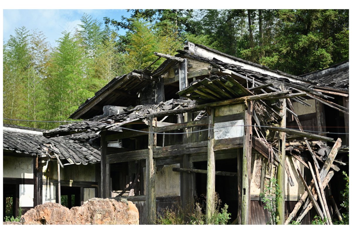 说梦闲人 tweet media