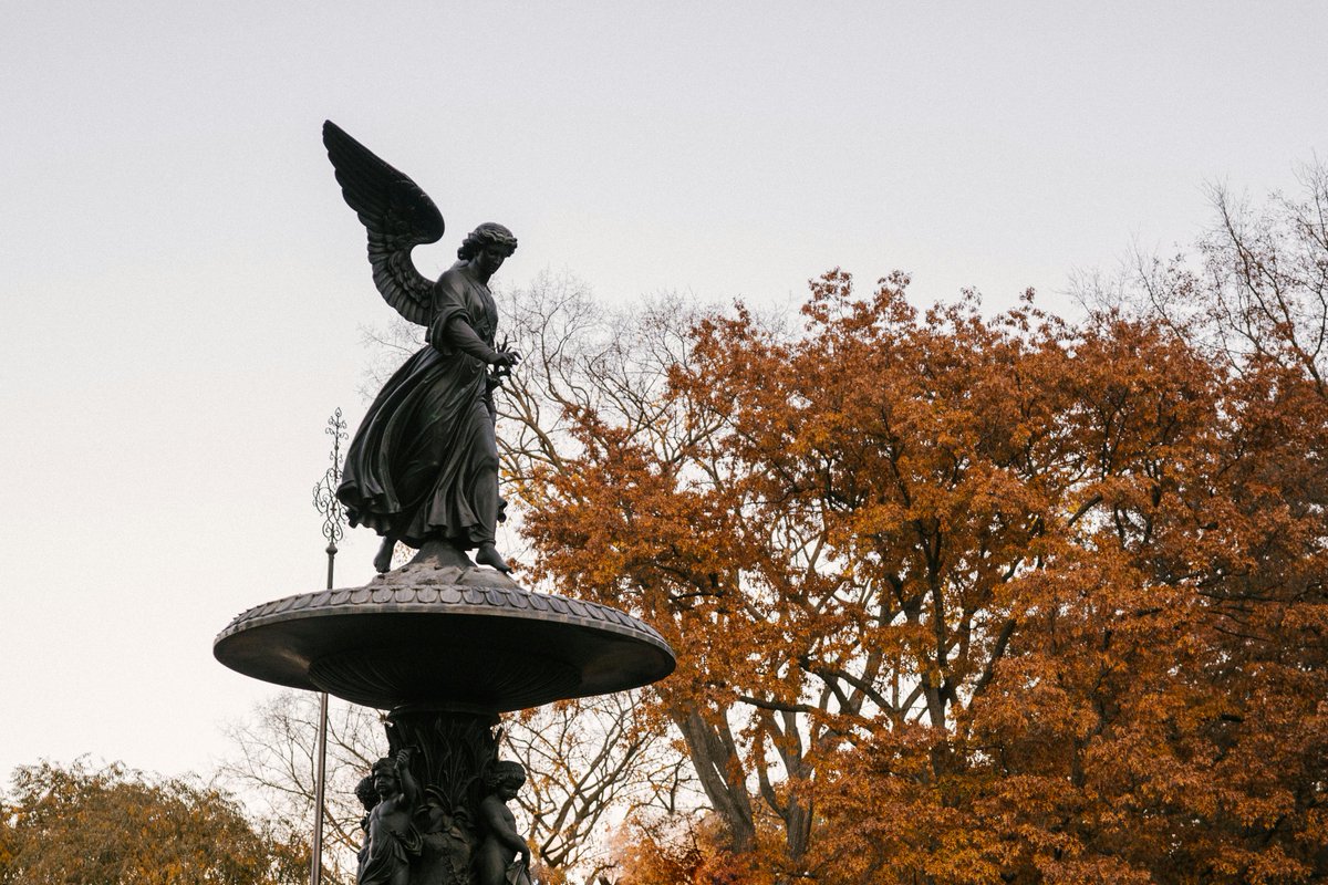 The_Silent_View's tweet photo. Discover why Central Park is a top spot for fall lovers in NYC. For the full autumn guide on the East Coast, visit the link in bio! 🍂
#NYCFall #CentralParkViews https://t.co/fY0K5UYThR