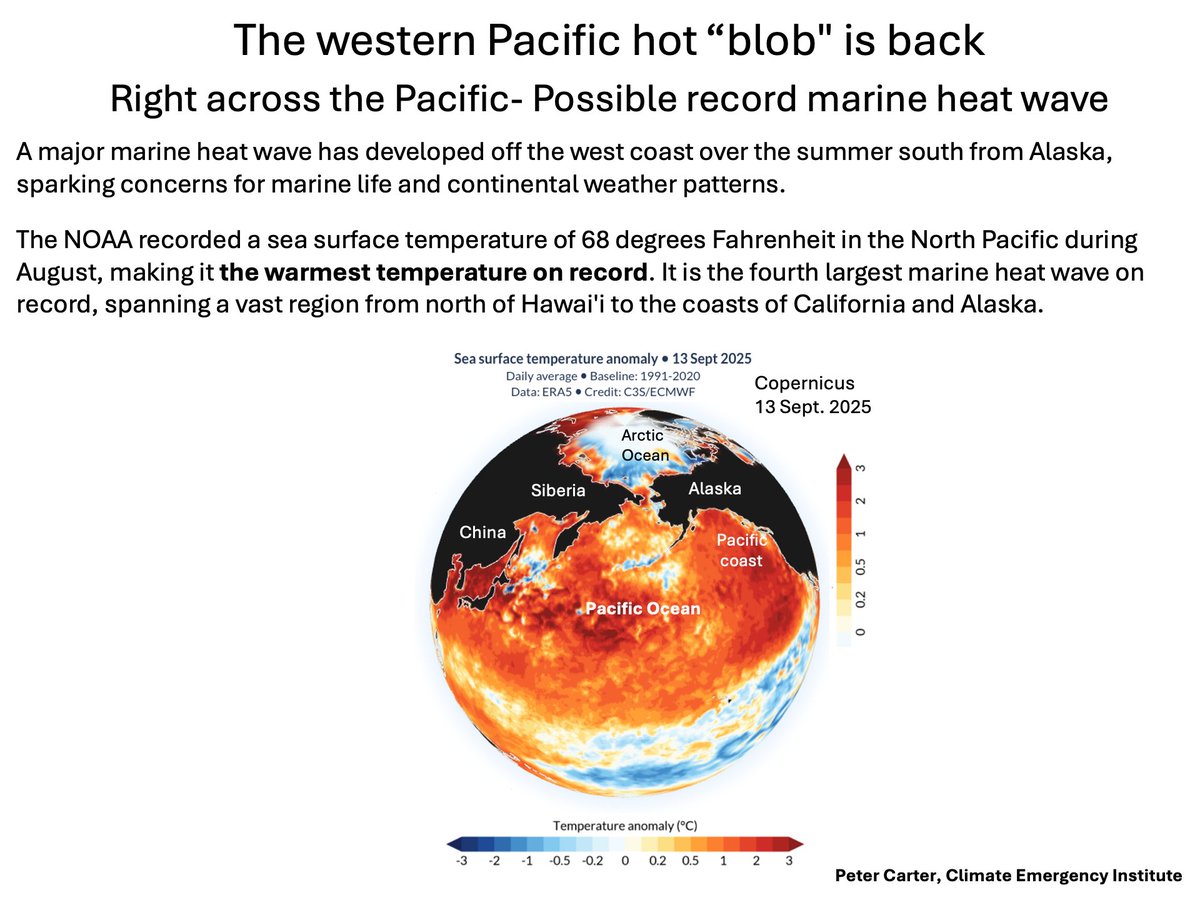 PCarterClimate's tweet image. PACIFIC BLOB IS BACK -BIGGER THAN EVER
The NOAA recorded a sea surface temperature of 68 degrees Fahrenheit in the North Pacific during August, making it the warmest temperature on record. It is the fourth largest marine heat wave on record, spanning a vast region from north of…