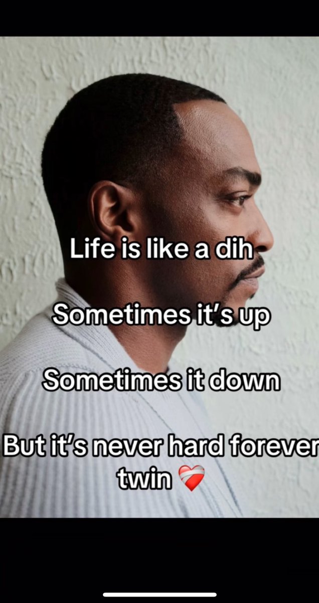 ModestTomato tweet media