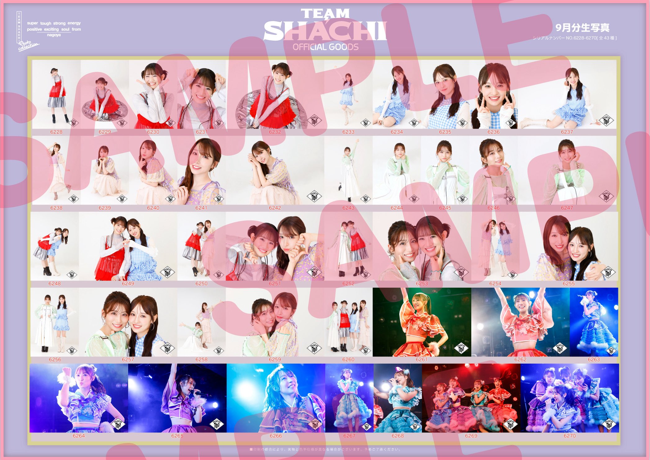 TEAM SHACHI 特典写真 TEAM SHACHI（チームシャチ） on X: 