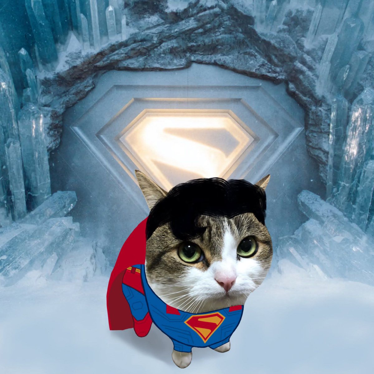 Aj Styles (@styles_aj20205) on Twitter photo 