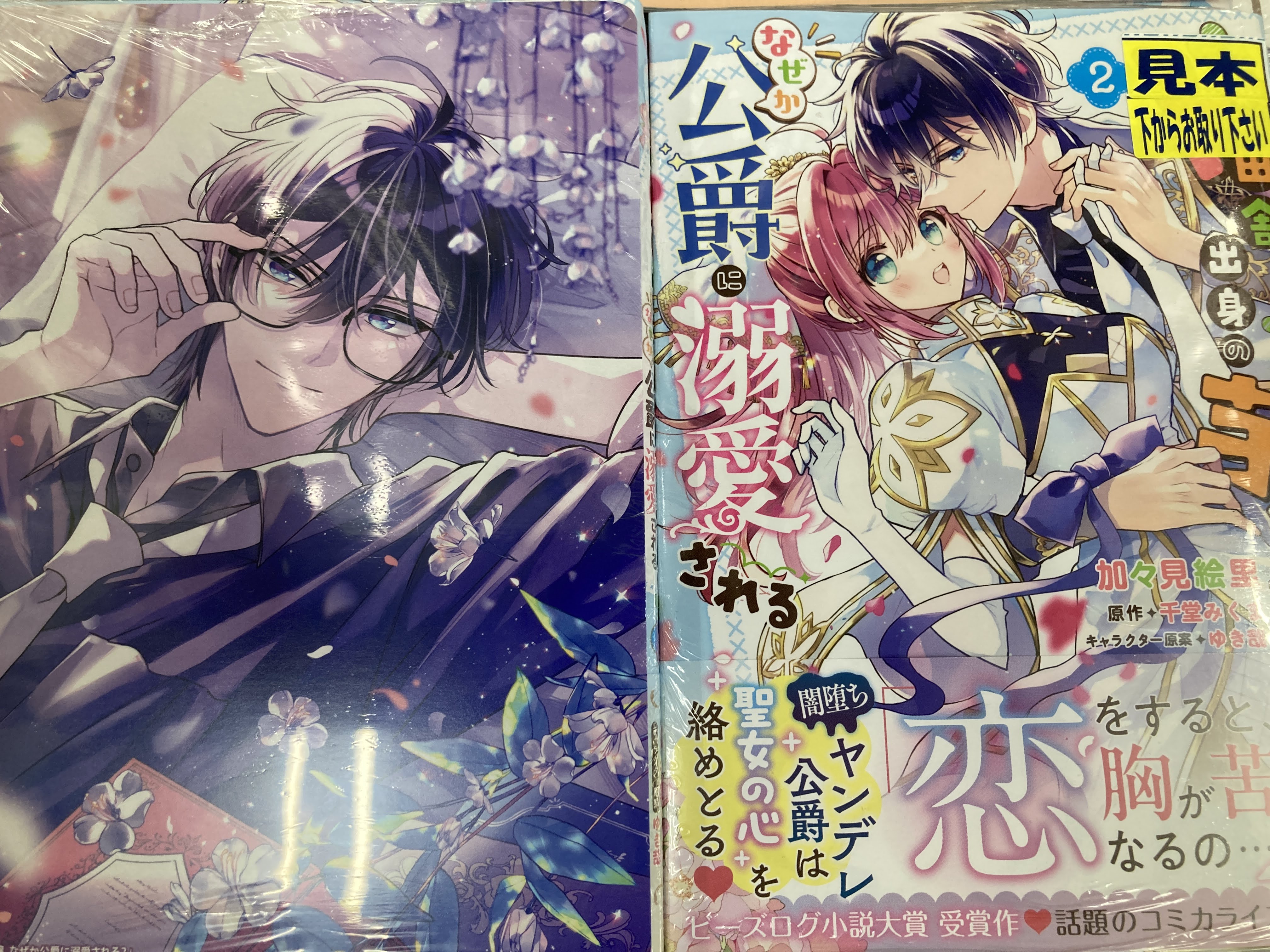 コミック購入 アニメイト特典 ビジュアルボード Amazon.co.jp: 極楽街 アニメイト 購入特典 B6サイズ ビジュアル
